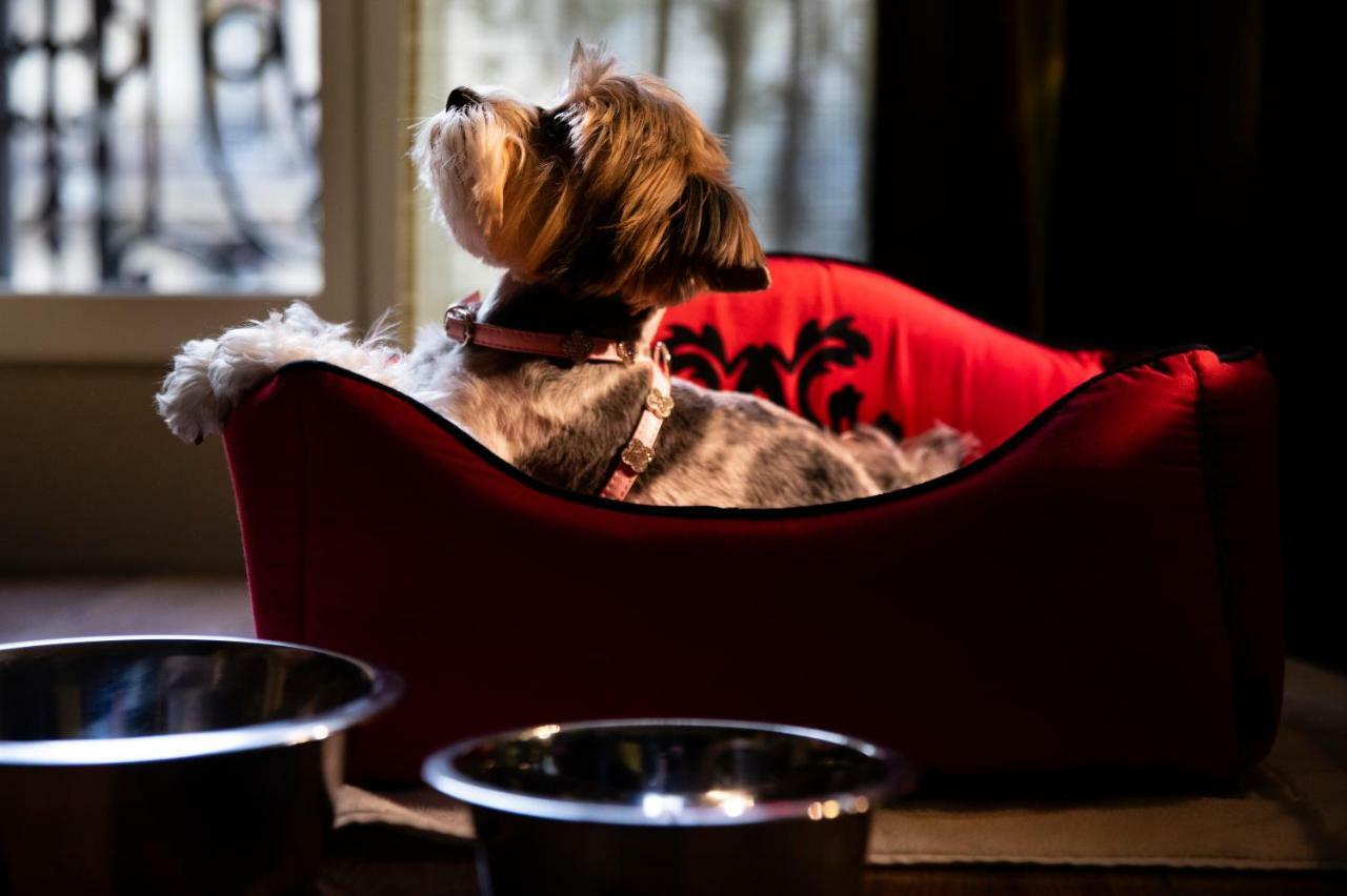 Edouard 7 Opéra Hotel Parigi